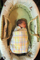 wrapped in a moses basket